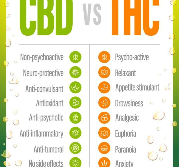 CBD and THC – What are they and how do they affect your health?