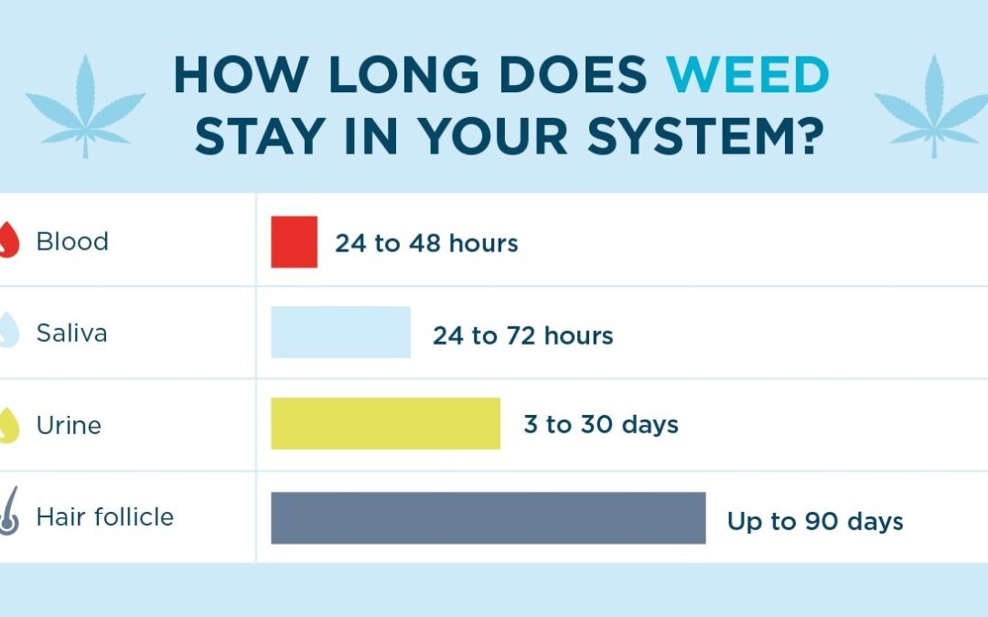 How Long Does Weed Stay in Your System After a Couple of Puffs?