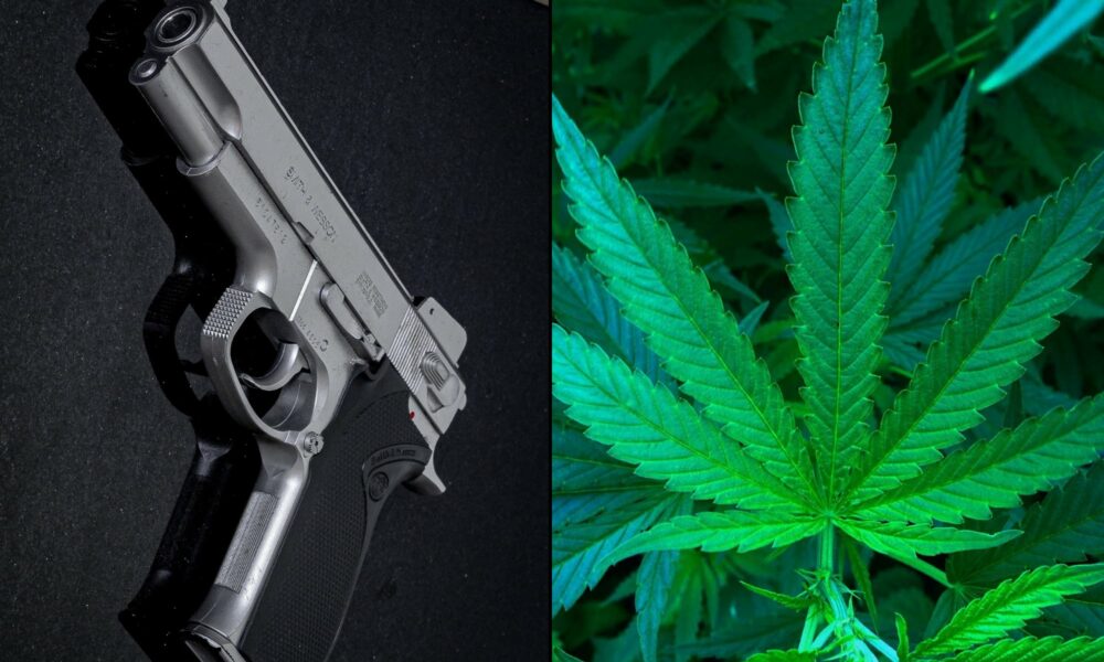 Justice Department Defends Gun Ban For Medical Marijuana Patients In Oral Arguments Before Federal Appeals Court