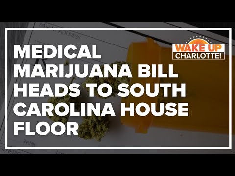 South Carolina Medical Marijuana Bill Approved In House Committee And Heads To Floor